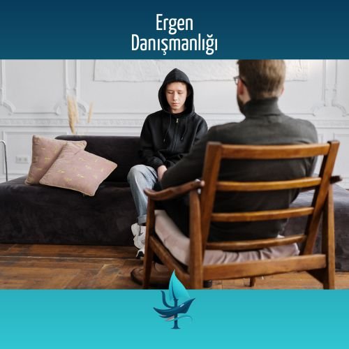 Ergen Danışmanlığı